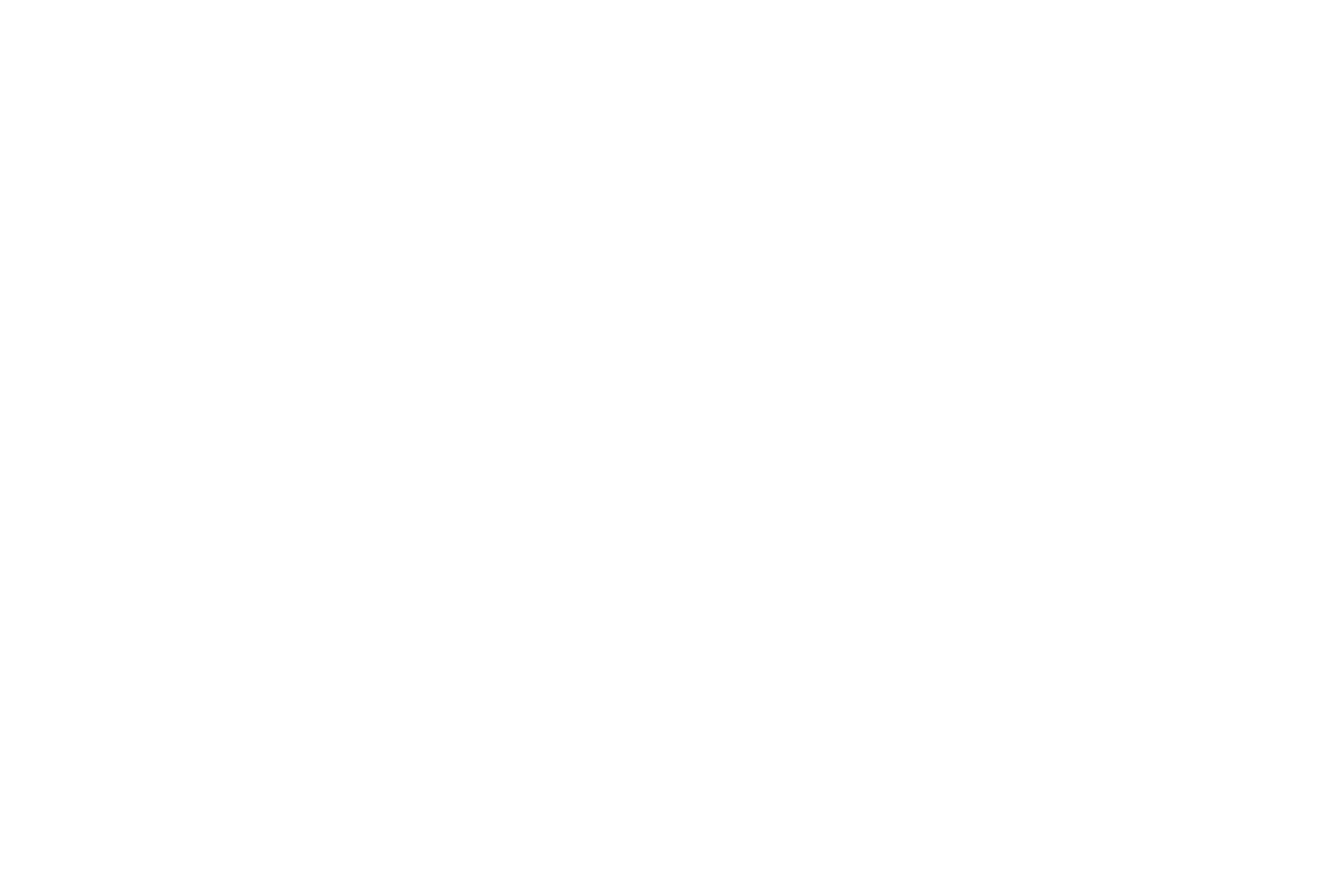 Black Friday Event