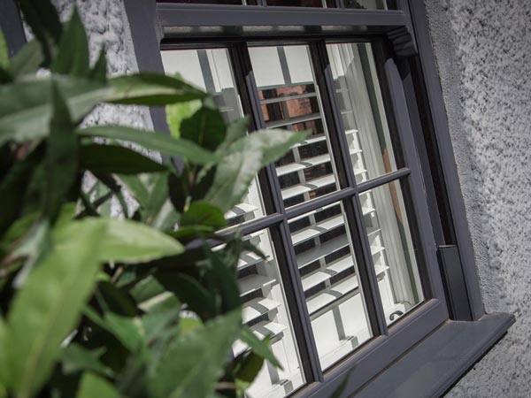 Sash & Case Windows